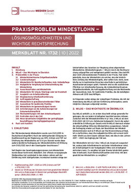 Cover der Leseprobe "Praxisproblem Mindestlohn" von DWS-Medien.