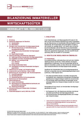 Cover der Leseprobe "Bilanzierung immaterieller Wirtschaftsgüter" von DWS-Medien.